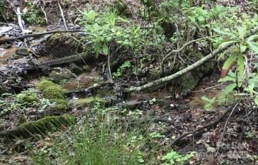303 Ladd Ridge Road Rosman, NC 28772 - Photo 30 of 32 a view of a lush green forest with lots of trees
