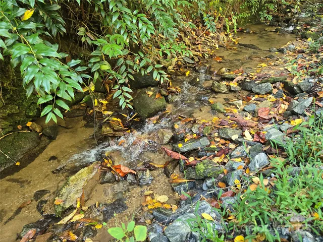 a backyard of a house with lots of plants
