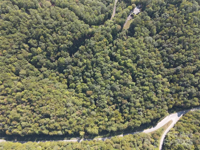 a view of a bunch of flowers and trees