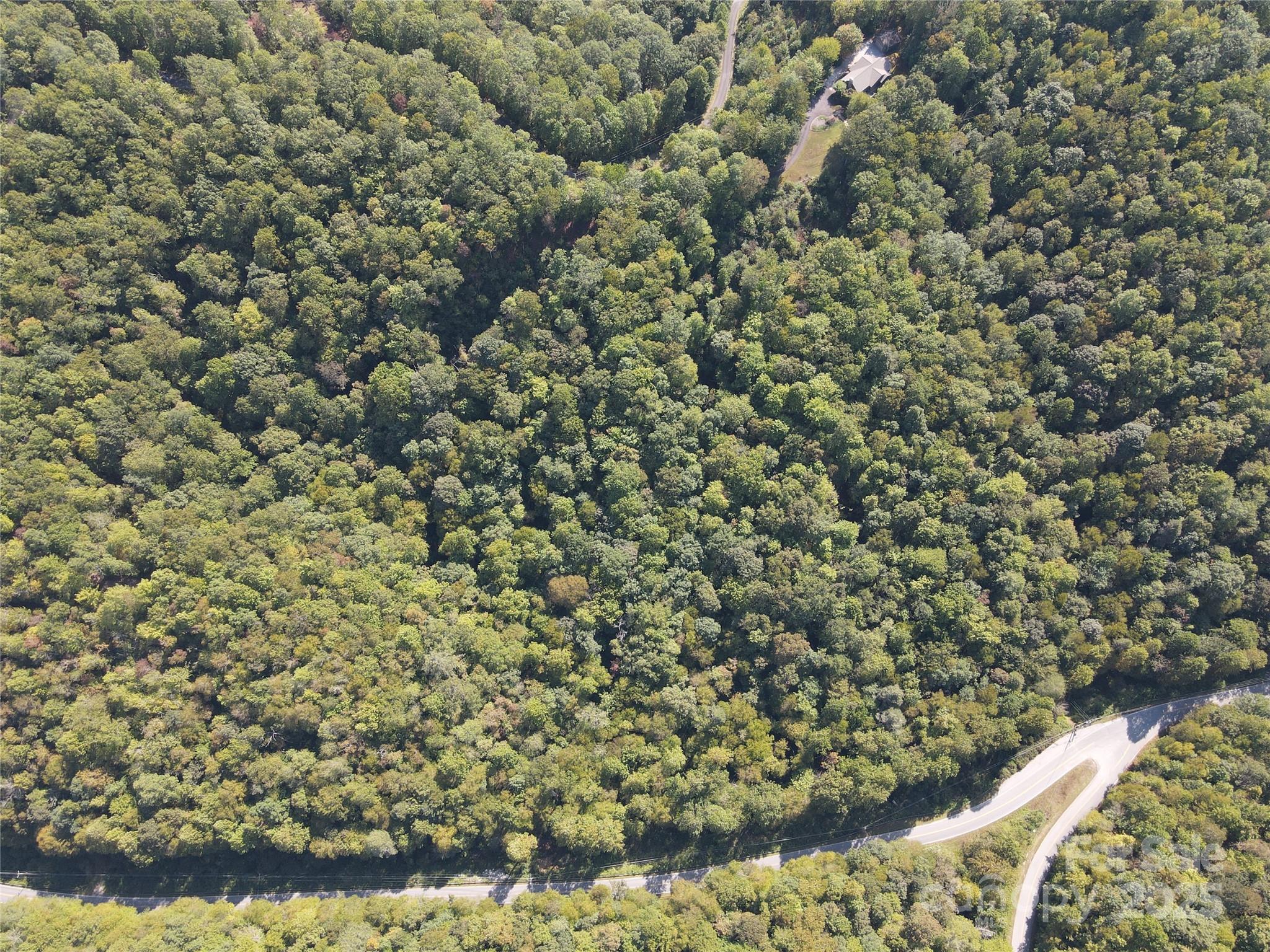 303 Ladd Ridge Road Rosman, NC 28772 - Photo 9 of 32 a view of a yard