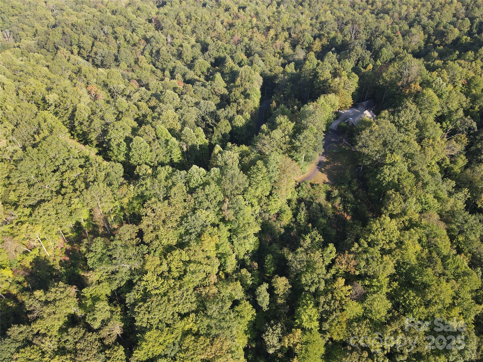 303 Ladd Ridge Road Rosman, NC 28772 - Photo 10 of 32