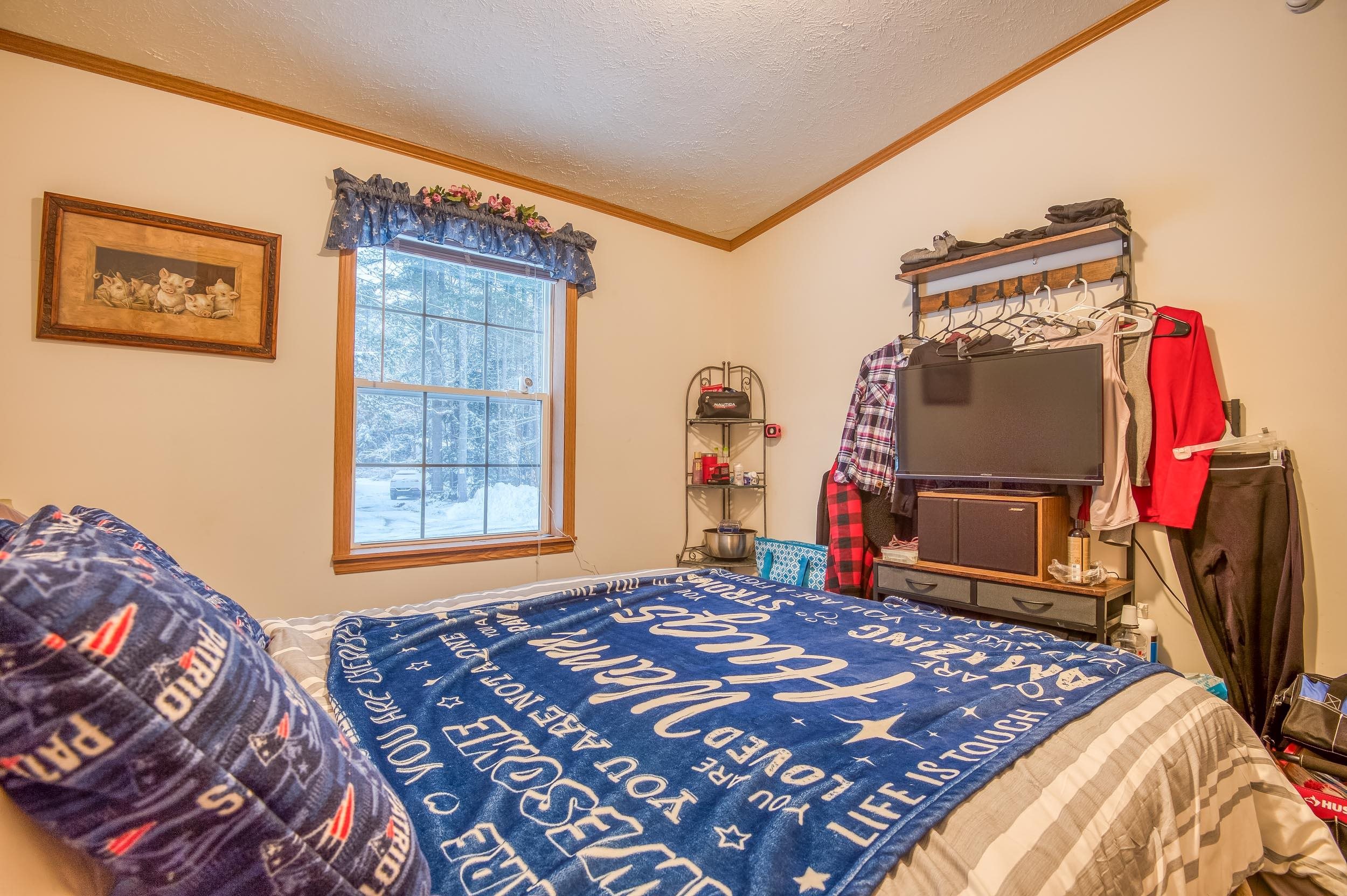6 Butternut Lane Tamworth, NH 03886 - Photo 24 of 37