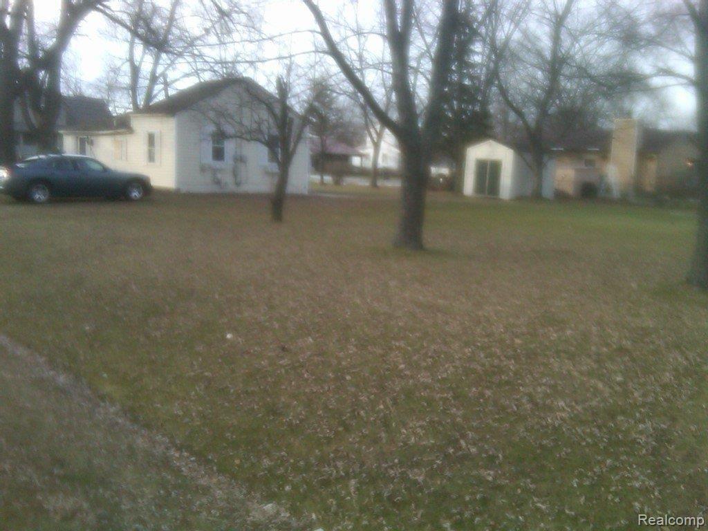 IMG00165-20101209-1531
