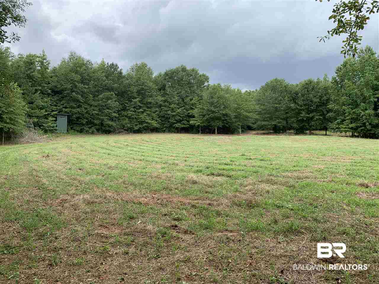 1178 Dry Lake Road Luverne, AL 36049 - Photo 14 of 50