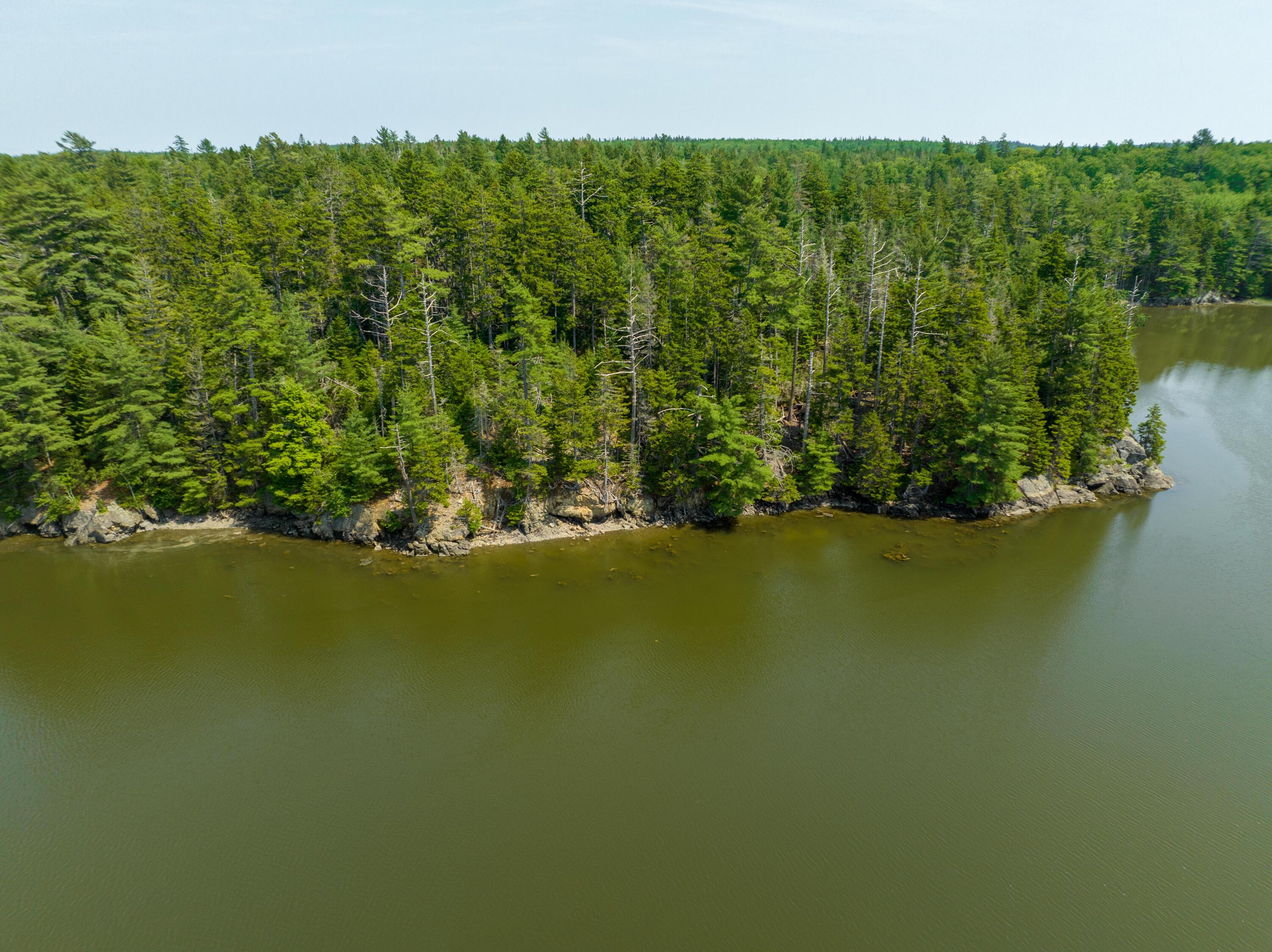 40.4 Timber Cove Road Lubec, ME 04652 - Photo 22 of 27 Lot 40.4 Timber Cove Road, Trescott (32