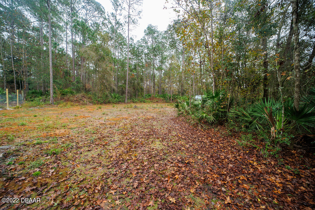 3095 Water Oak Road Bunnell, FL 32110 - Photo 17 of 21 CA440D5F-689E-447F-99E1-7EA450ABE695