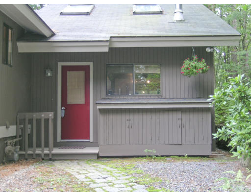 49 Campbell Road Wayland, MA 01778 - Photo 7 of 15 a view of outdoor space with plants