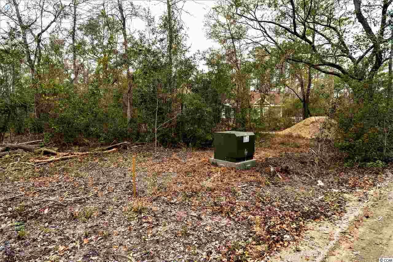 1595 Old Tram Road Little River, SC 29566 - Photo 8 of 28 Gallery Image 8
