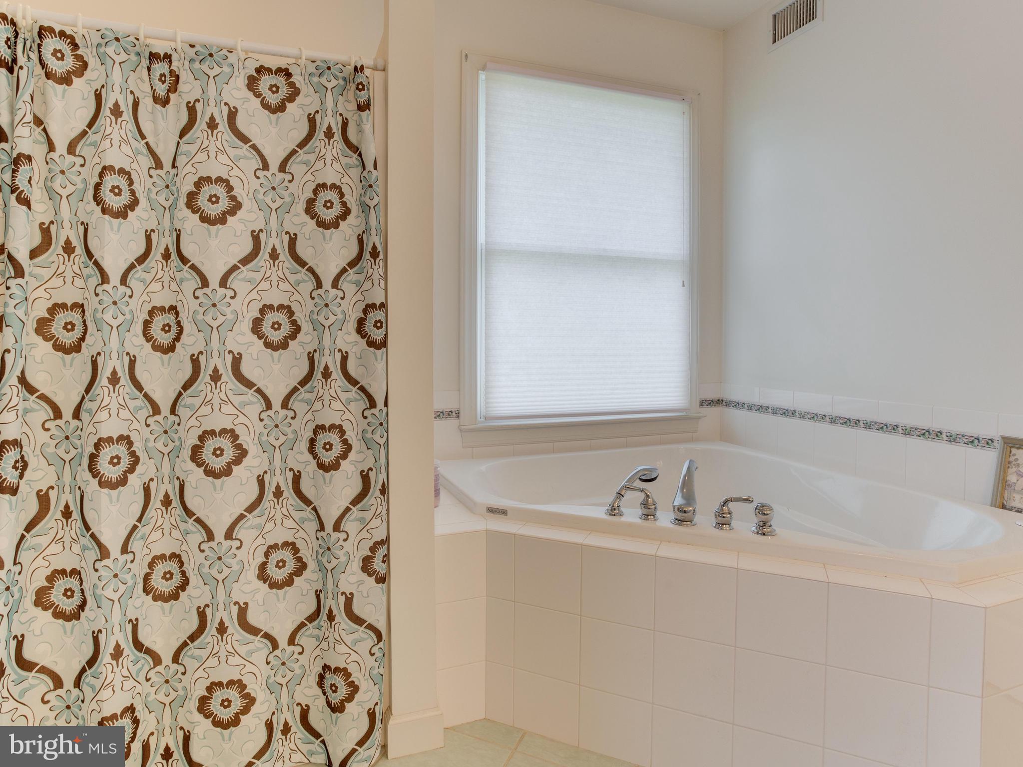 5970 Little Road Lothian, MD 20711 - Photo 26 of 60 Large Master Bath, Shower and tub.