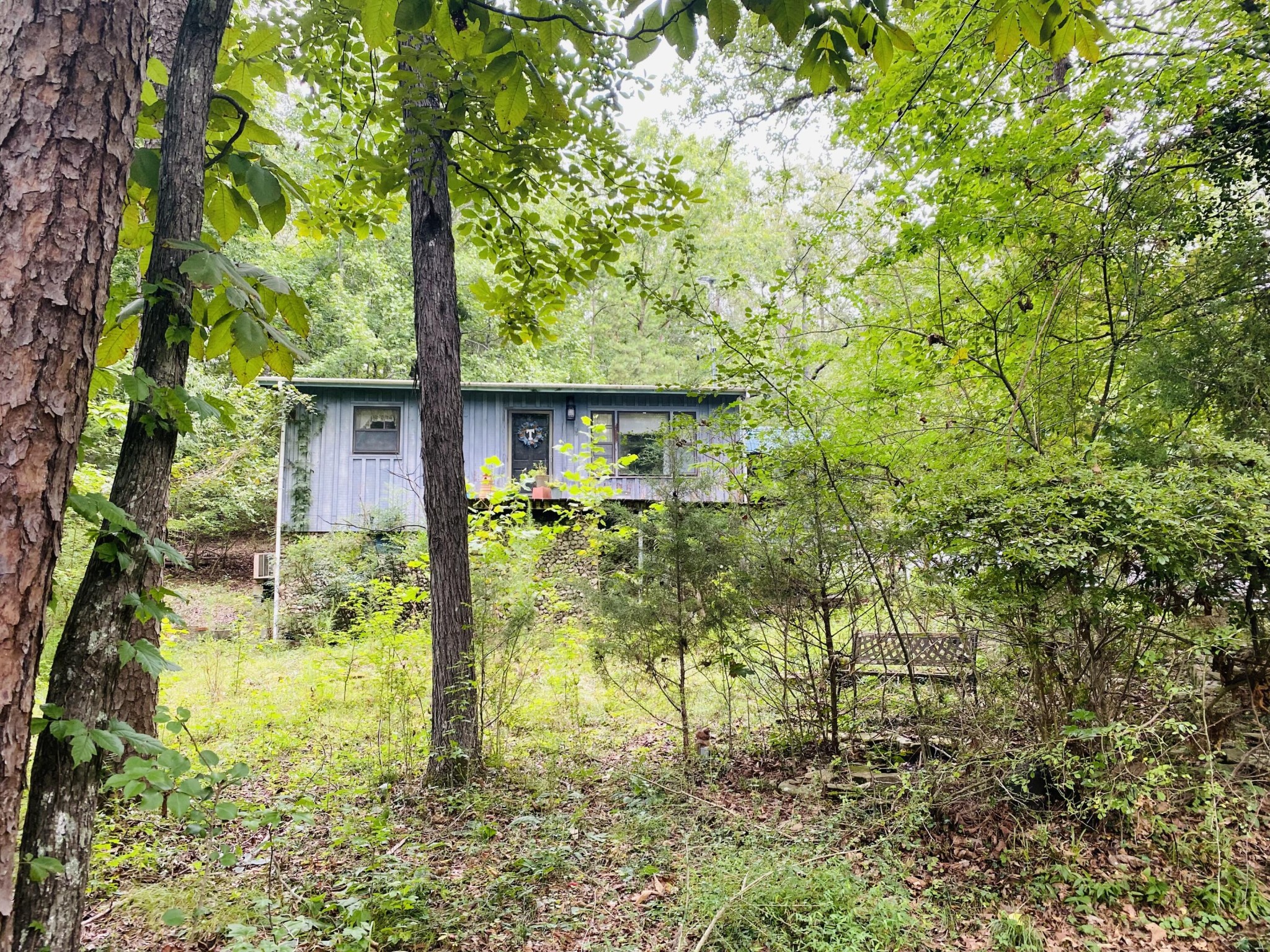 9731 Blue Springs Road Harrison, TN 37341 - Photo 3 of 28 Gallery Image 3