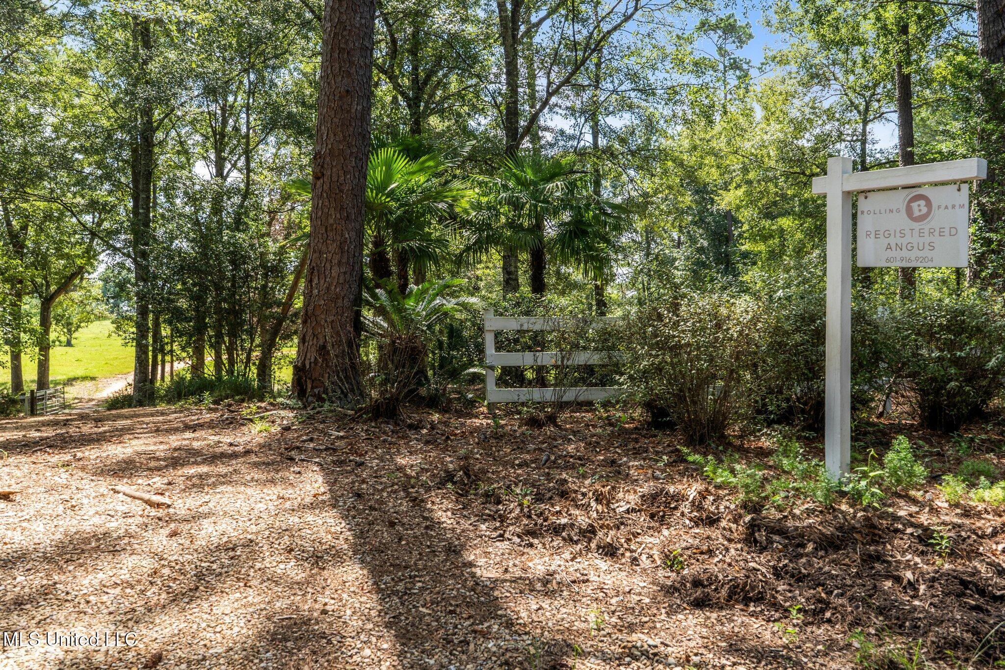 81 James Jarrell Road Carriere, MS 39426 - Photo 35 of 36 026