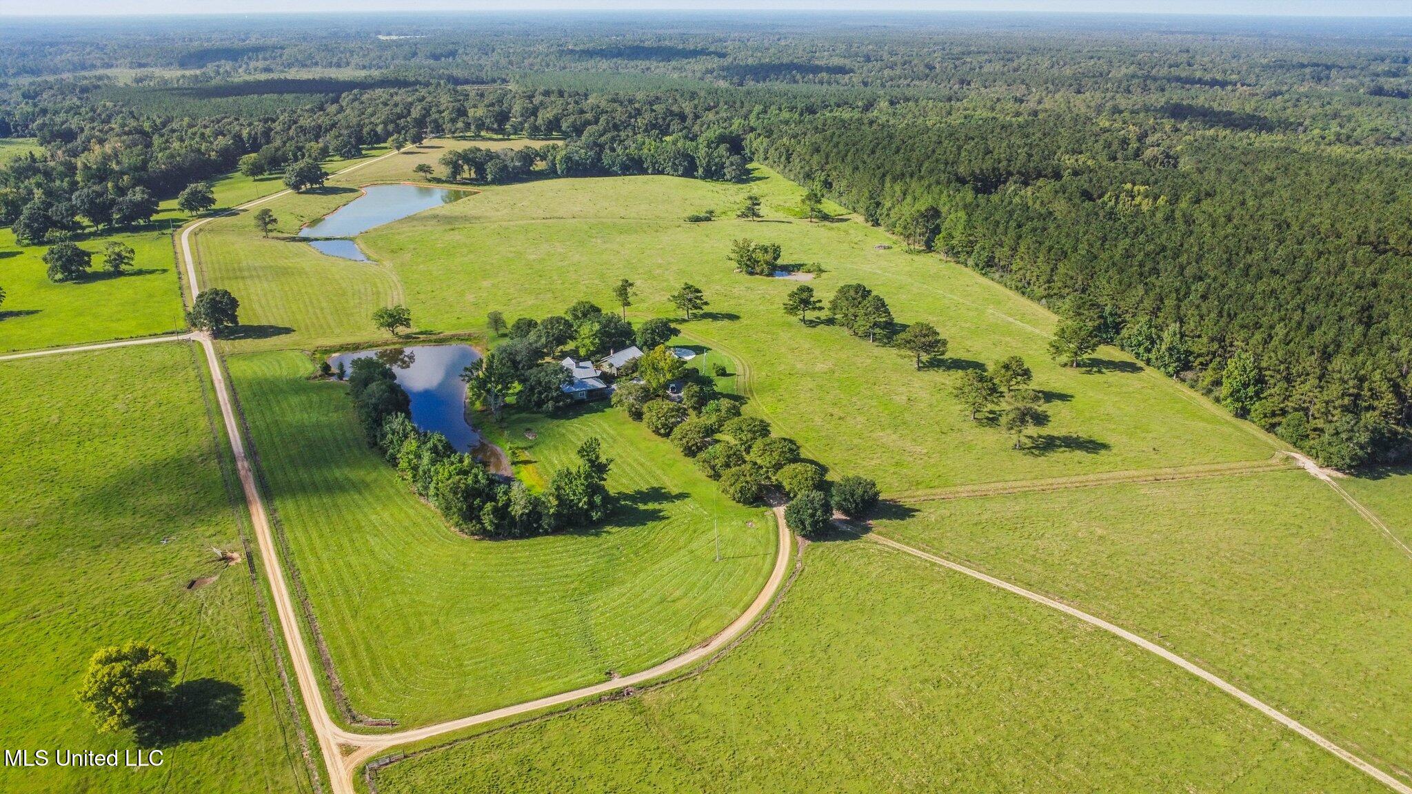 81 James Jarrell Road Carriere, MS 39426 - Photo 7 of 36 101