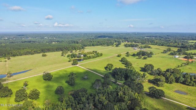 $1,499,000 | 81 James Jarrell Road, Carriere, MS 39426