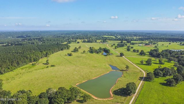 $1,499,000 | 81 James Jarrell Road, Carriere, MS 39426