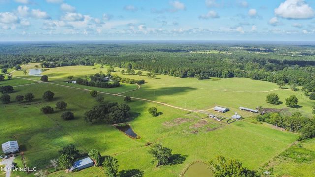 $1,499,000 | 81 James Jarrell Road, Carriere, MS 39426