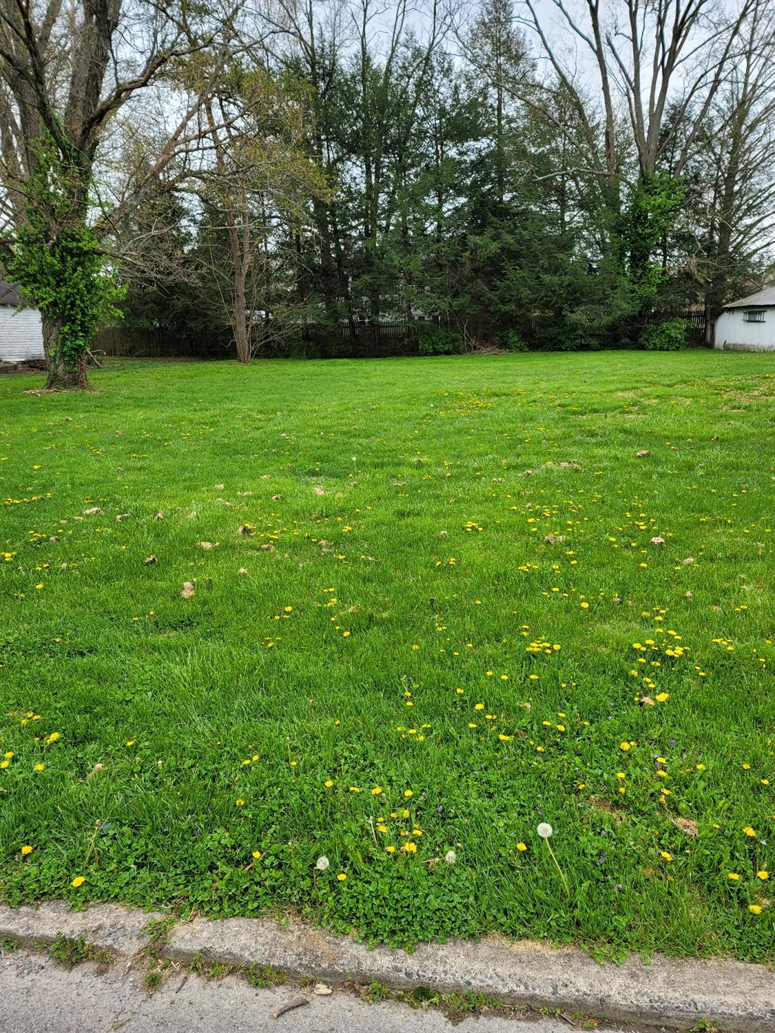 204 East 3rd Street Perryville, KY 40468 - Photo 2 of 3 Photo 2