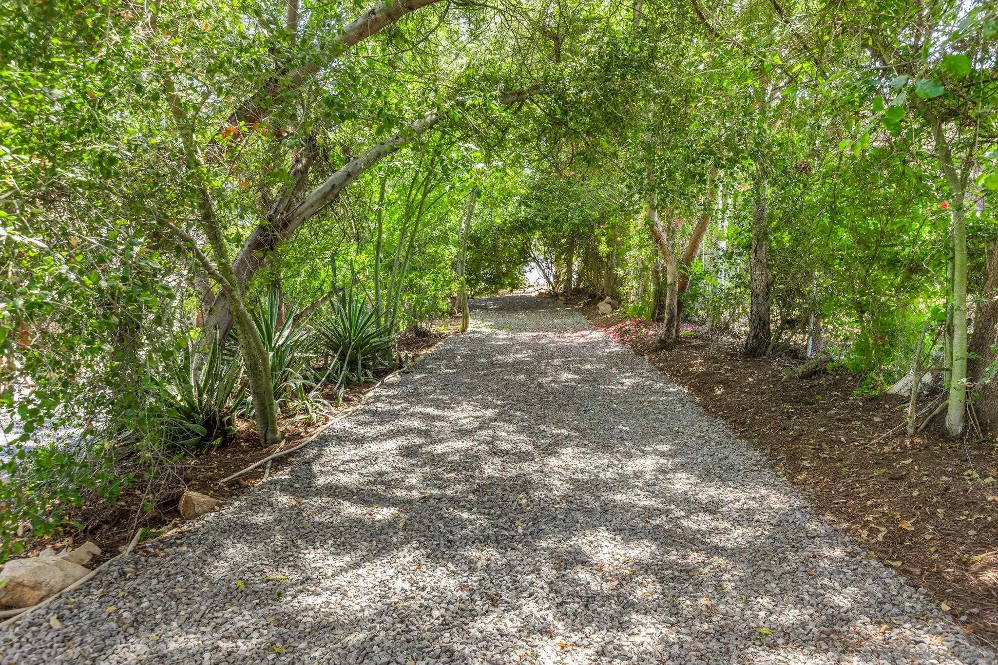 2029 Winterwarm Drive Fallbrook, CA 92028 - Photo 15 of 36 a view of a forest with trees in the background
