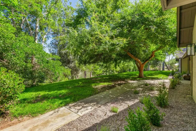 a view of a tree in front of a house