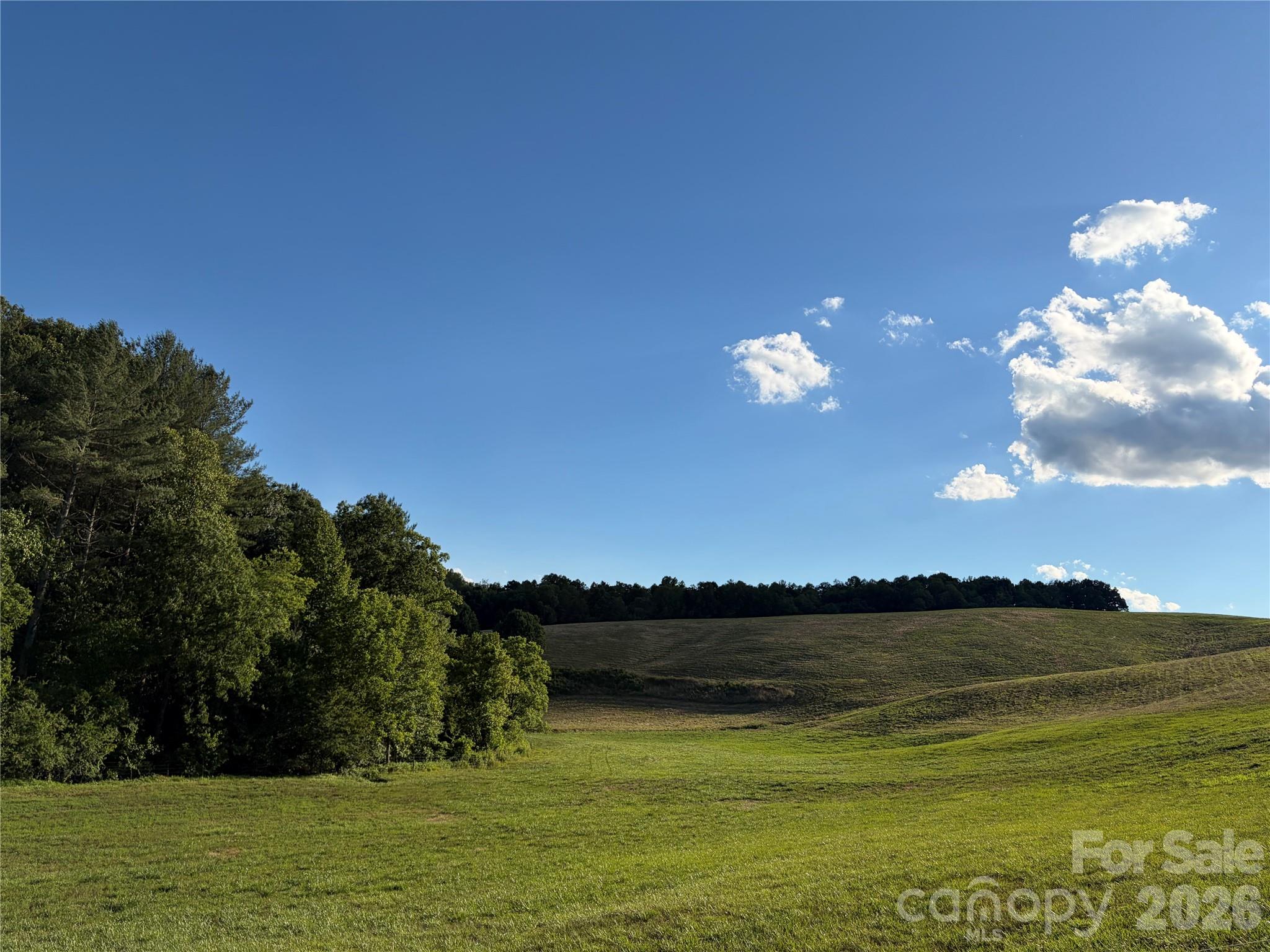 1779 Roundhill Church Road Traphill, NC 28685 - Photo 38 of 41
