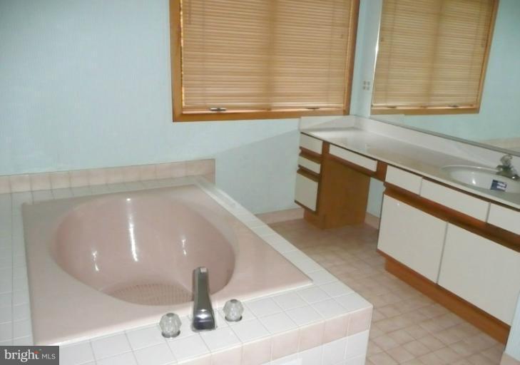 11000 Gaither Farm Road Ellicott City, MD 21042 - Photo 13 of 22 Bath (Master)