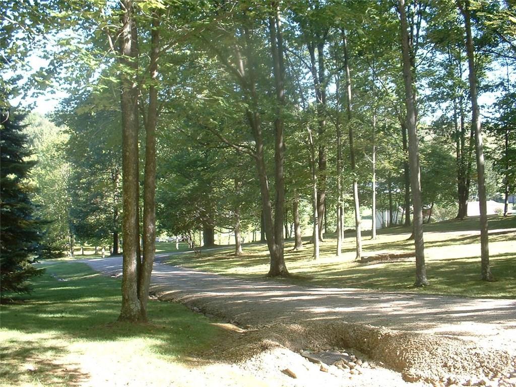 1383 Kauffman Road Indiana, PA 15701 - Photo 16 of 19 Stone Drive Way with Wooded Front Yard