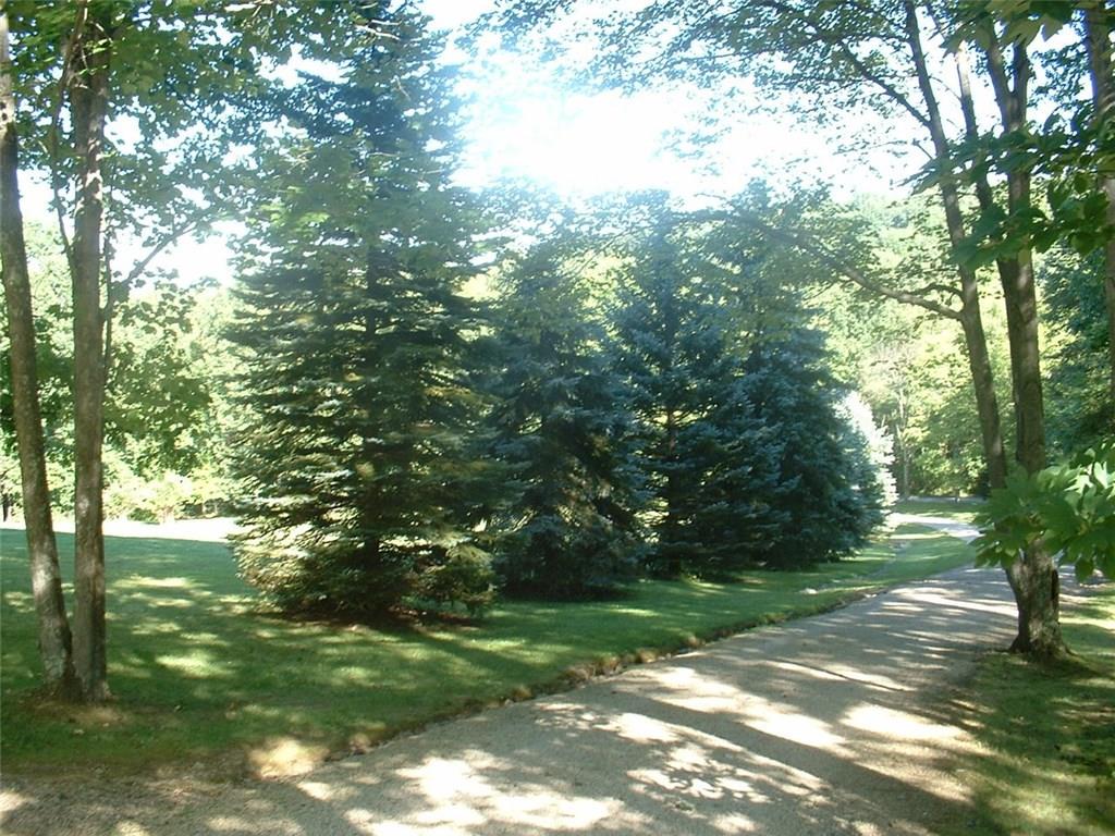 1383 Kauffman Road Indiana, PA 15701 - Photo 5 of 19 Landscaped Property with Beautiful Pines and Trees