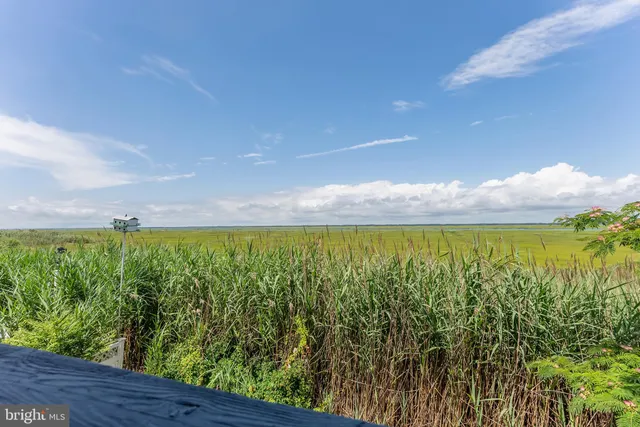 a city view with ocean