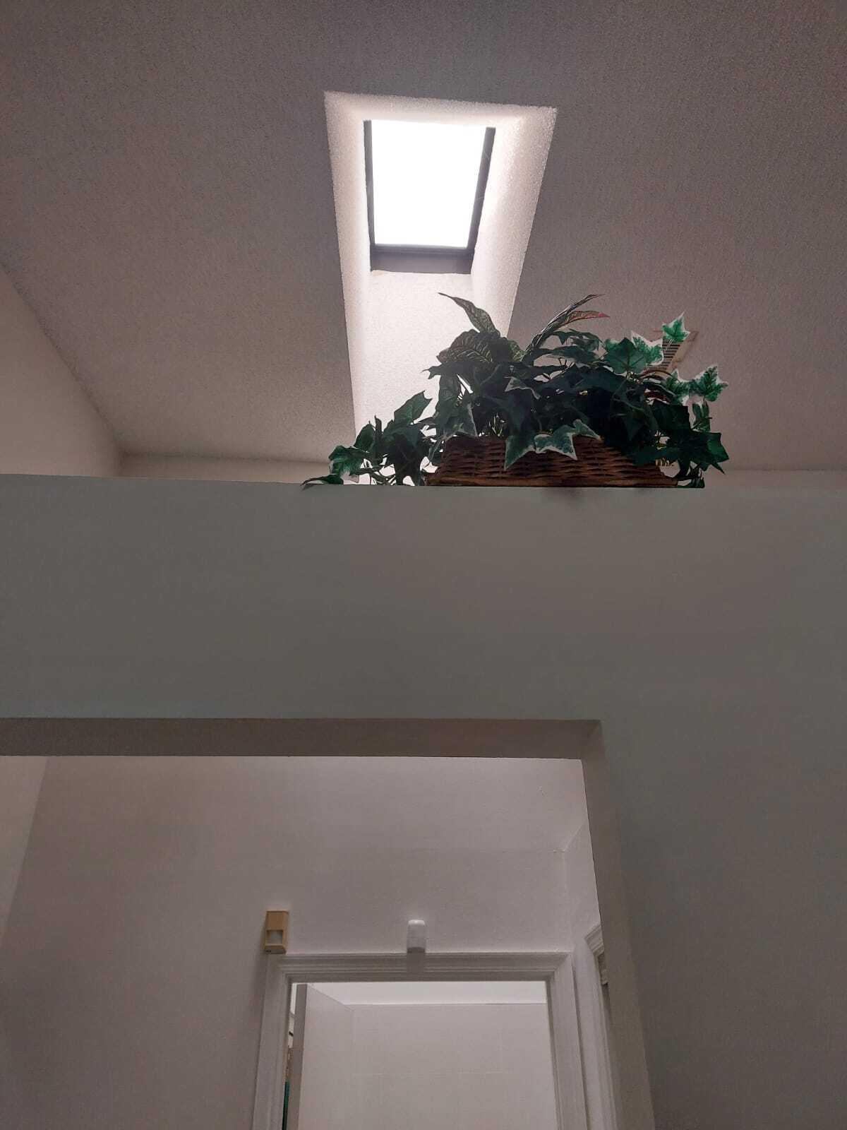 3769 Blue Ridge Road, Unit 3769 West Palm Beach, FL 33406 - Photo 14 of 25 IMG-20230208-WA0033
