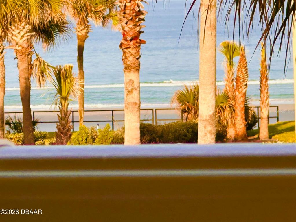 4758 South Atlantic Avenue, Unit 6 Ponce Inlet, FL 32127 - Photo 9 of 25