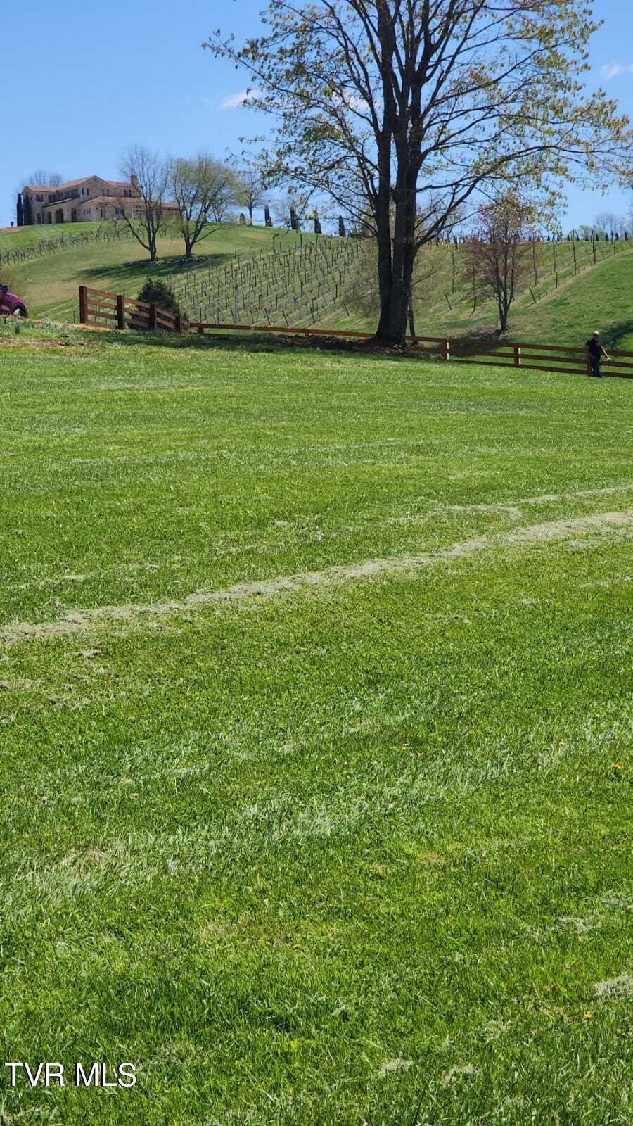 0 Dry Hill Road, Unit LOT 35 Butler, TN 37640 - Photo 4 of 7 IMG-20250416-WA0012