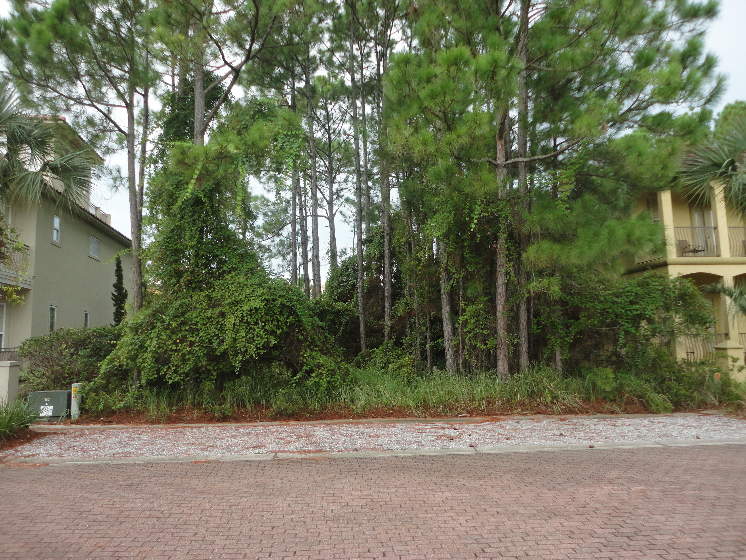 Lot 4 White Cliffs Lane Santa Rosa Beach, FL 32459 - Photo 11 of 11 Lot 4 Blk B