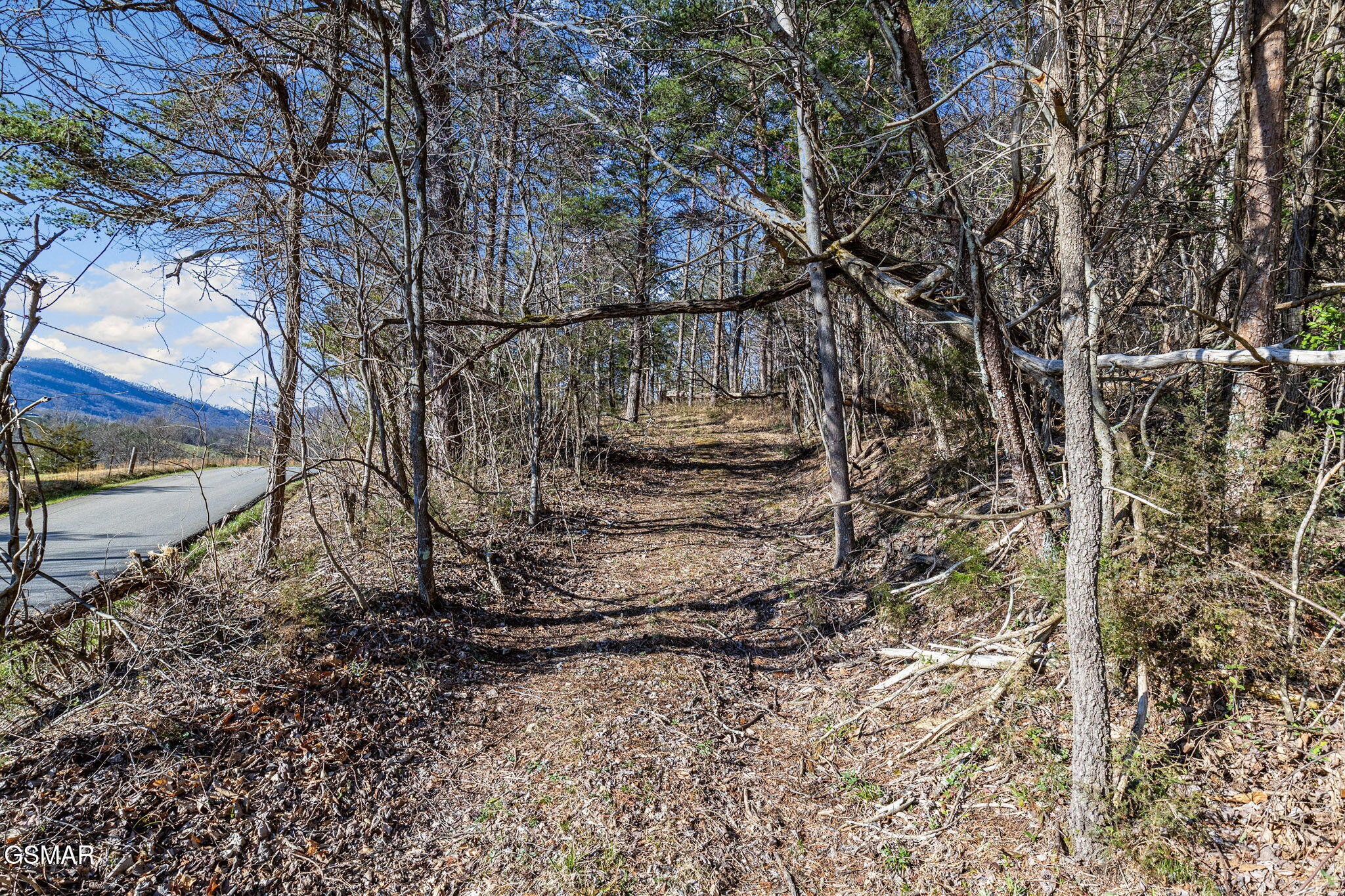 0 Little Meadow Creek Road Greeneville, TN 37743 - Photo 13 of 17