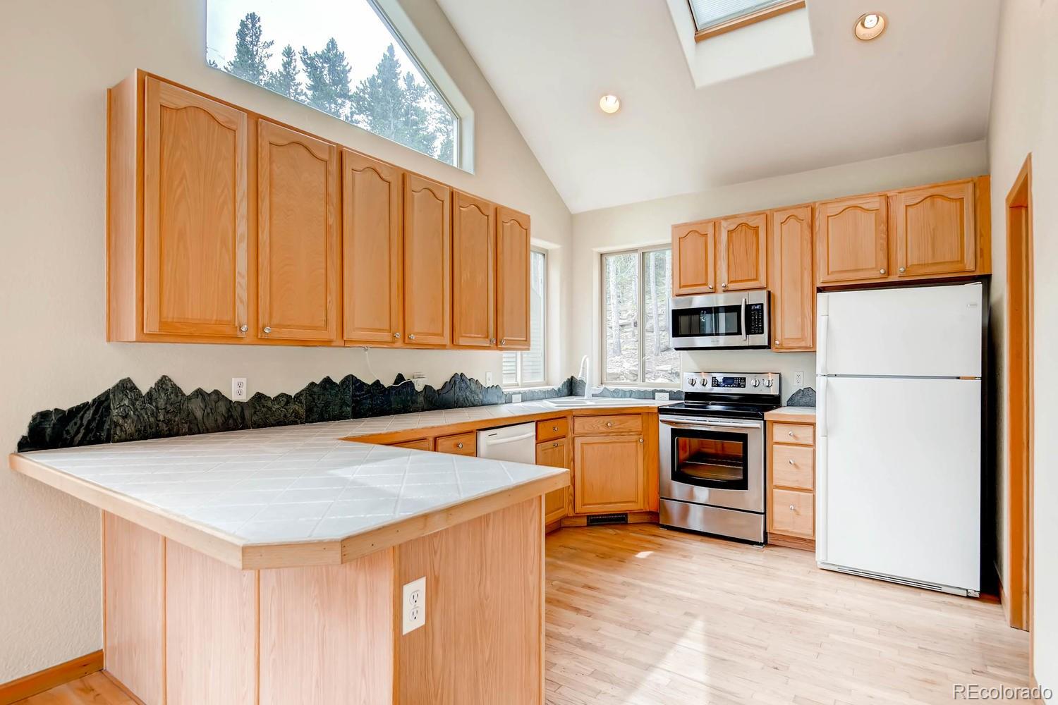 241 Long Road Idaho Springs, CO 80452 - Photo 3 of 11 Gallery Image 3