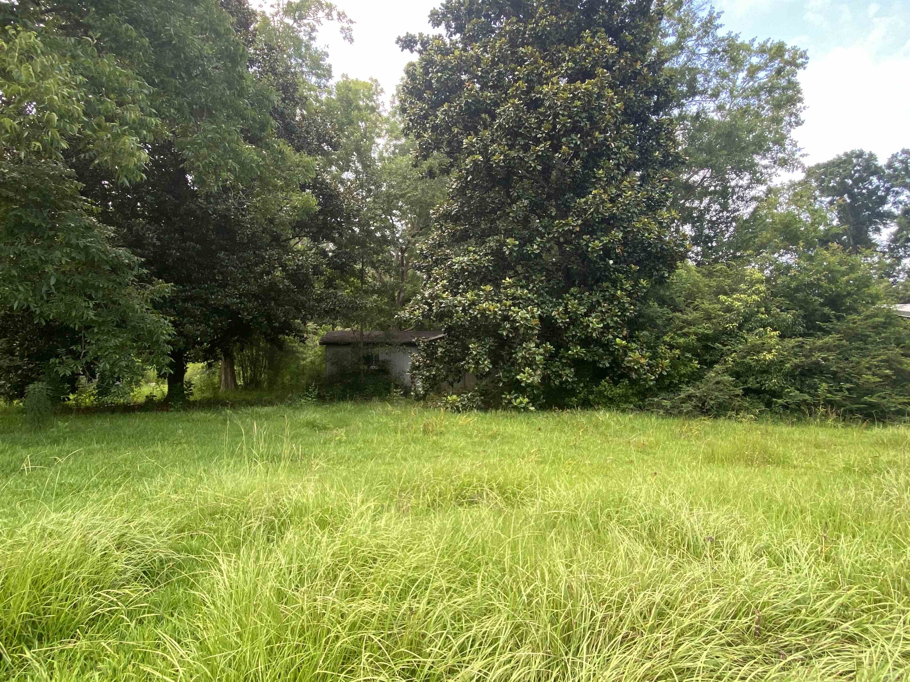 19337 Highway 90 Robertsdale, AL 36567 - Photo 2 of 2