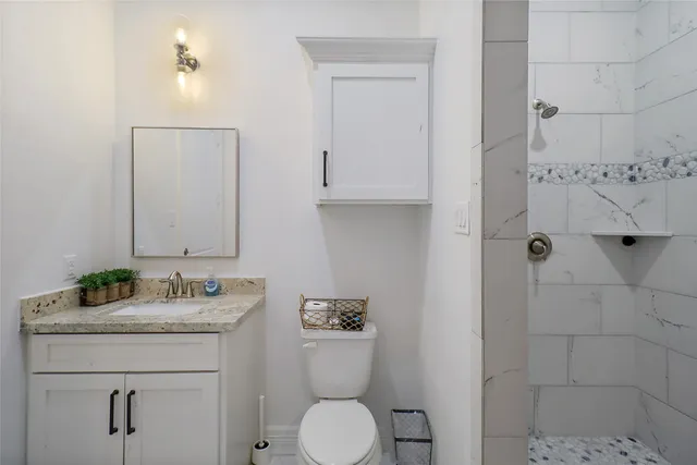 a bathroom with a granite countertop sink toilet and mirror