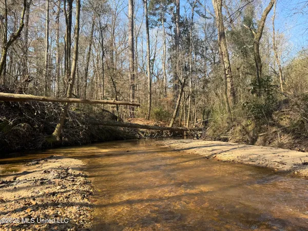 $220,000 | Railroad Lane, Pinola, MS 39149