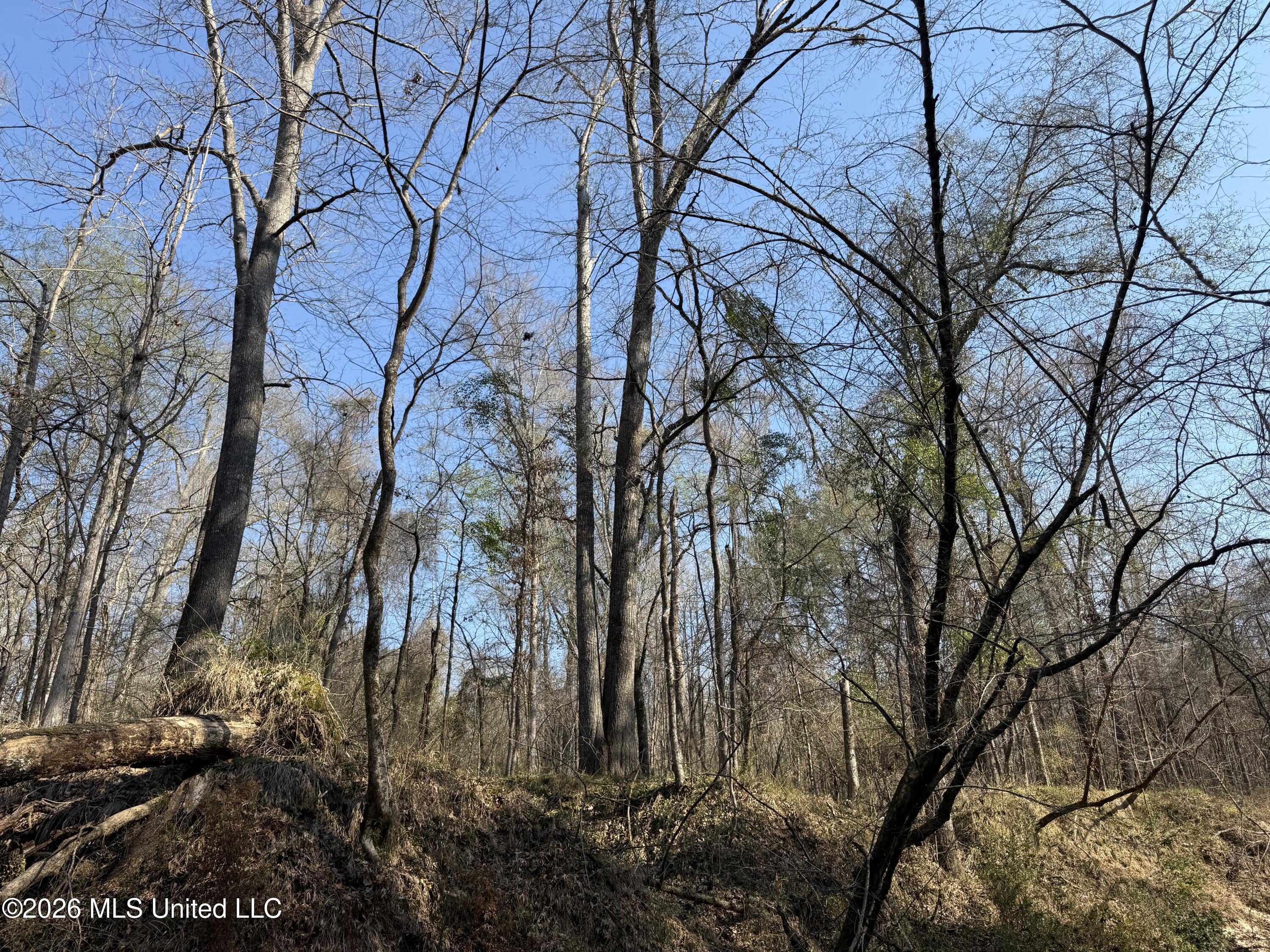 Railroad Lane Pinola, MS 39149 - Photo 14 of 40 IMG_0060