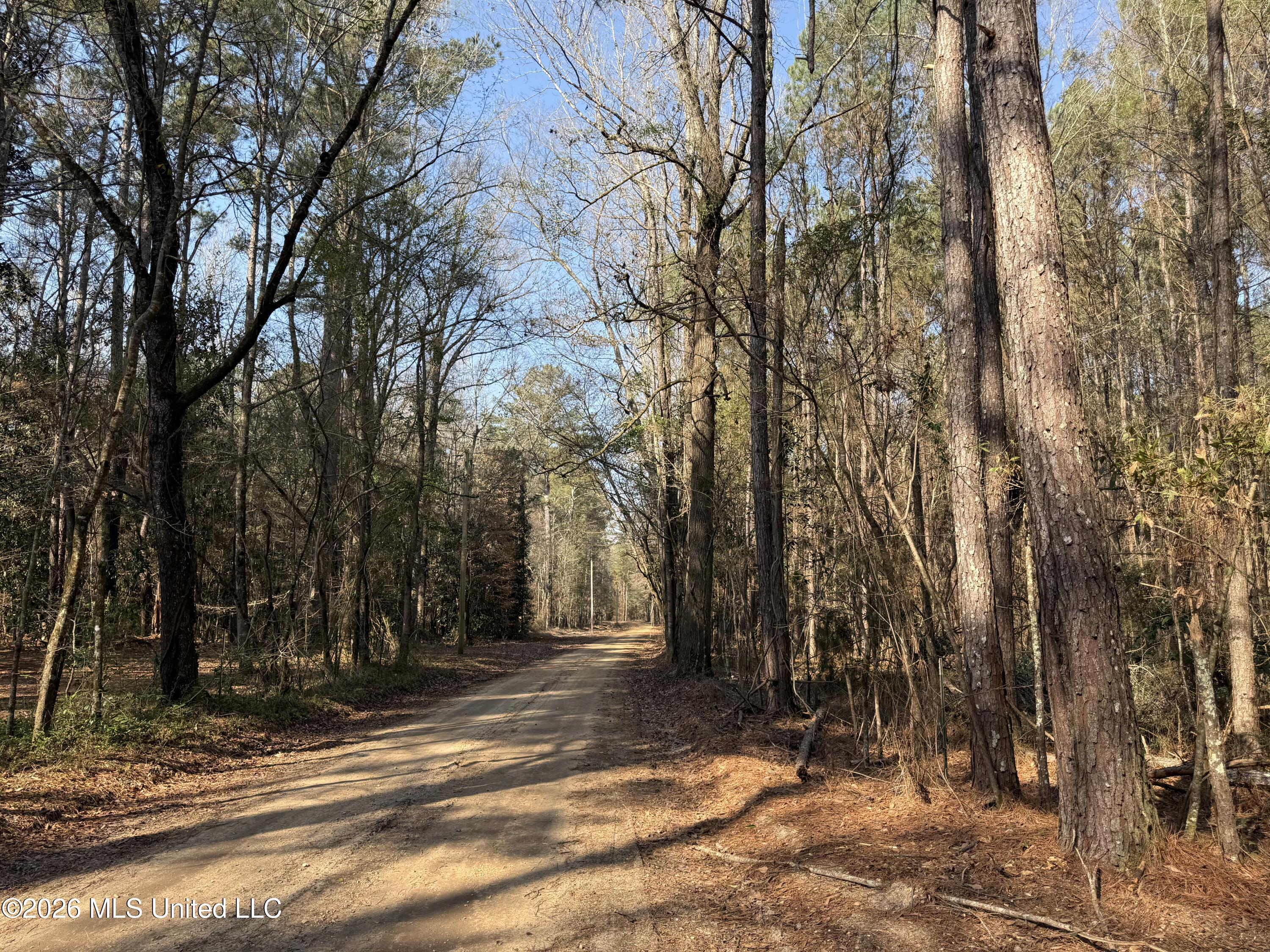 Railroad Lane Pinola, MS 39149 - Photo 17 of 40 IMG_0022