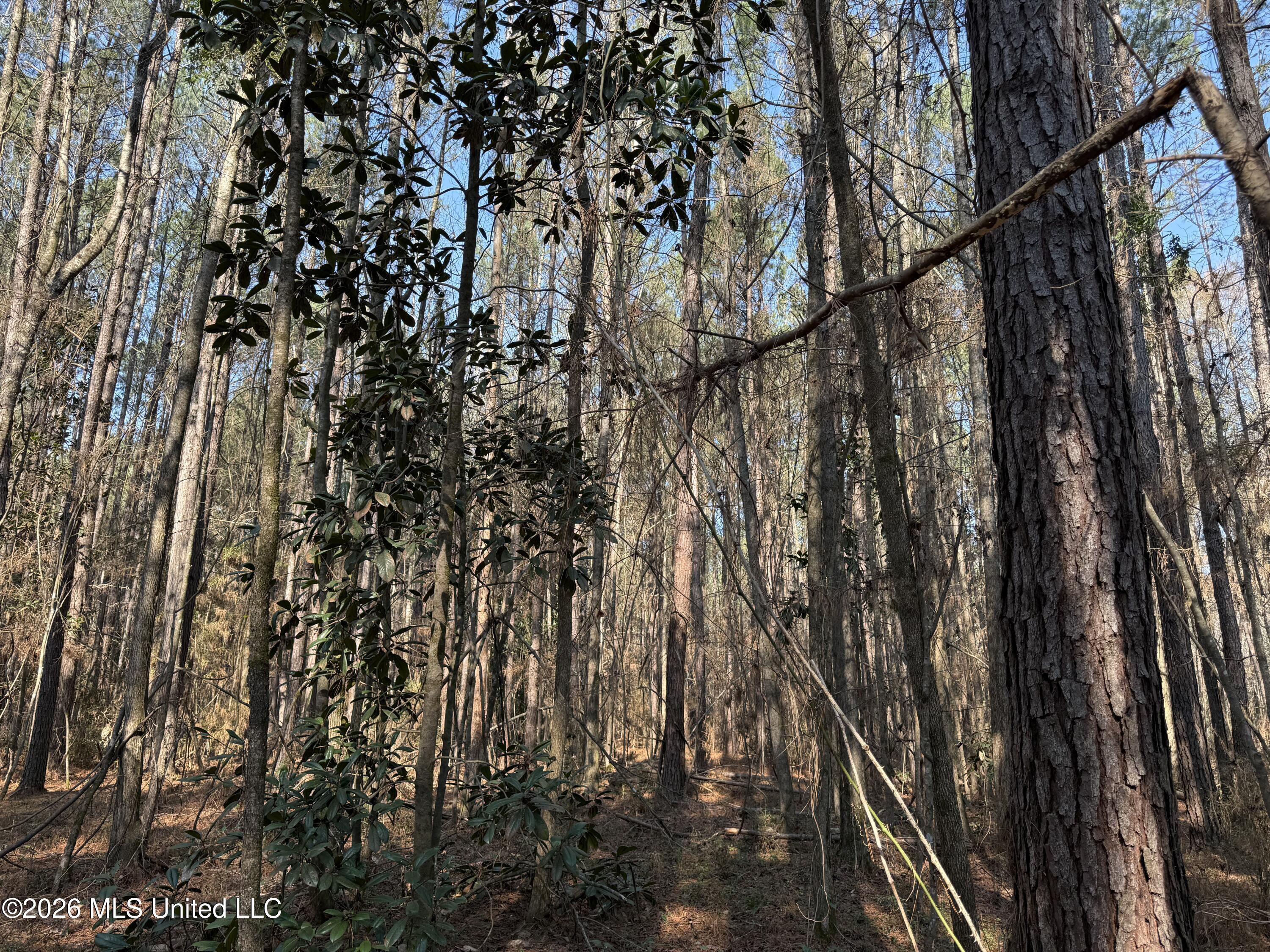 Railroad Lane Pinola, MS 39149 - Photo 18 of 40 IMG_0026