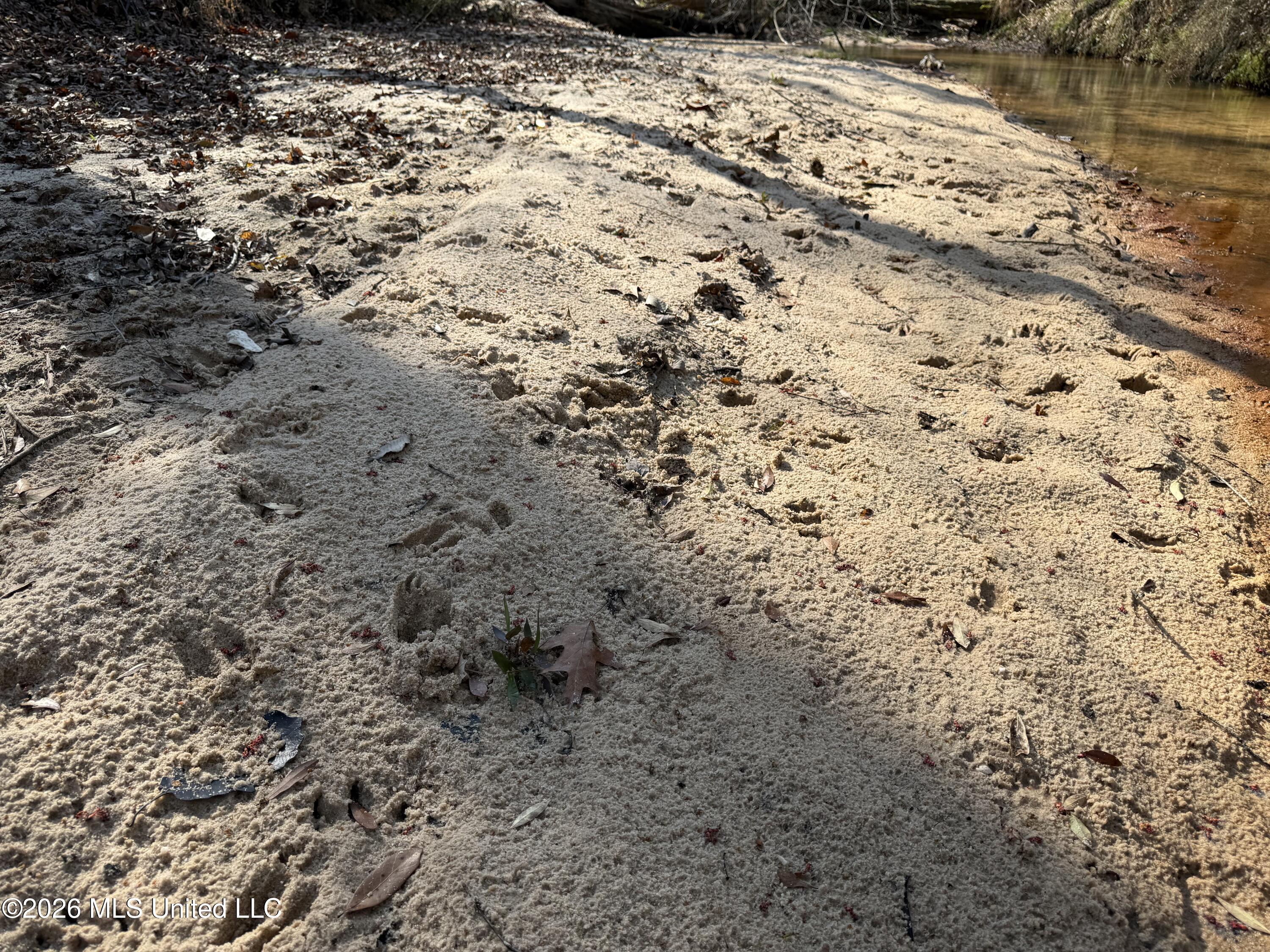Railroad Lane Pinola, MS 39149 - Photo 19 of 40 IMG_0064