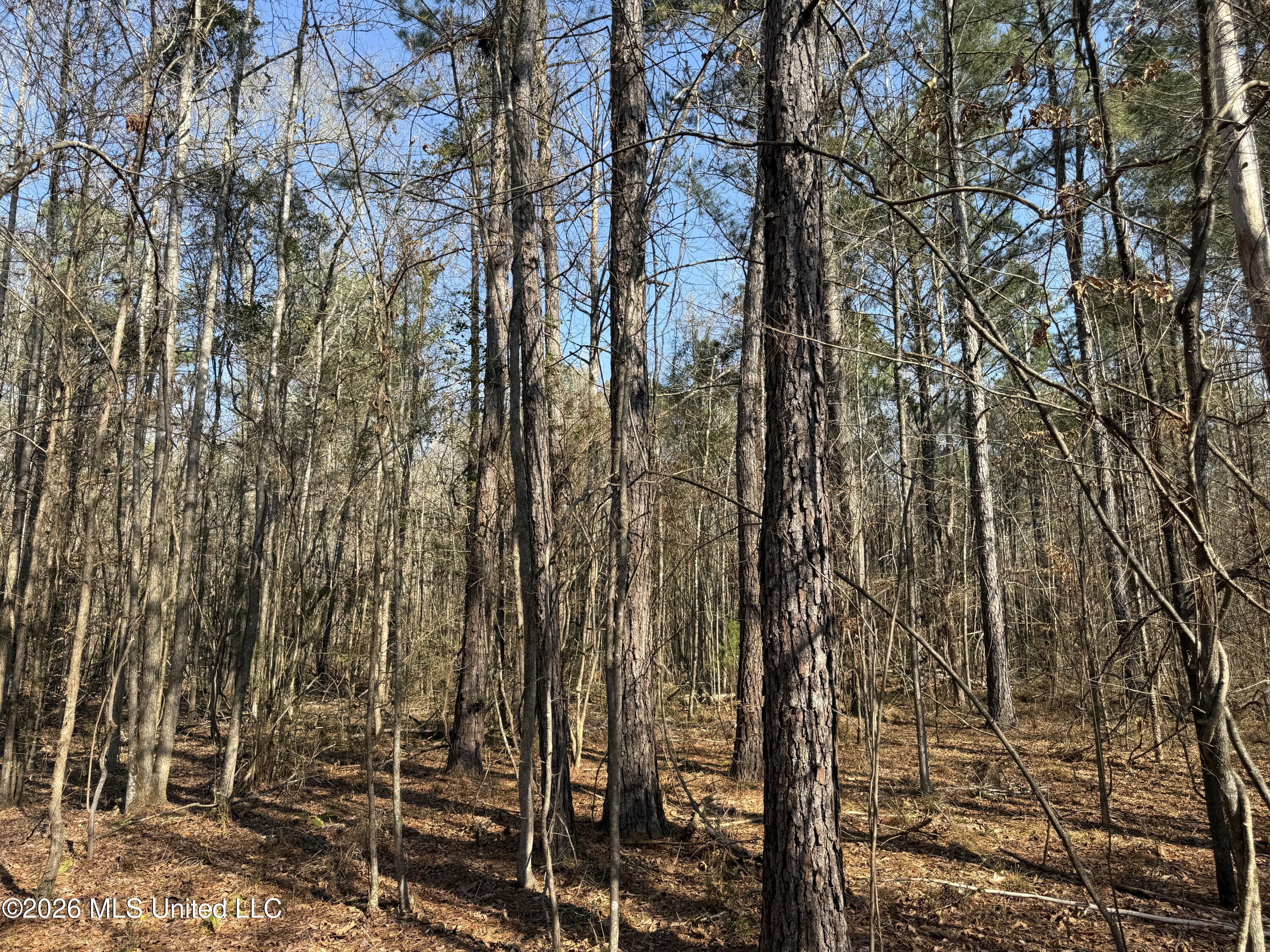 Railroad Lane Pinola, MS 39149 - Photo 25 of 40 IMG_0076