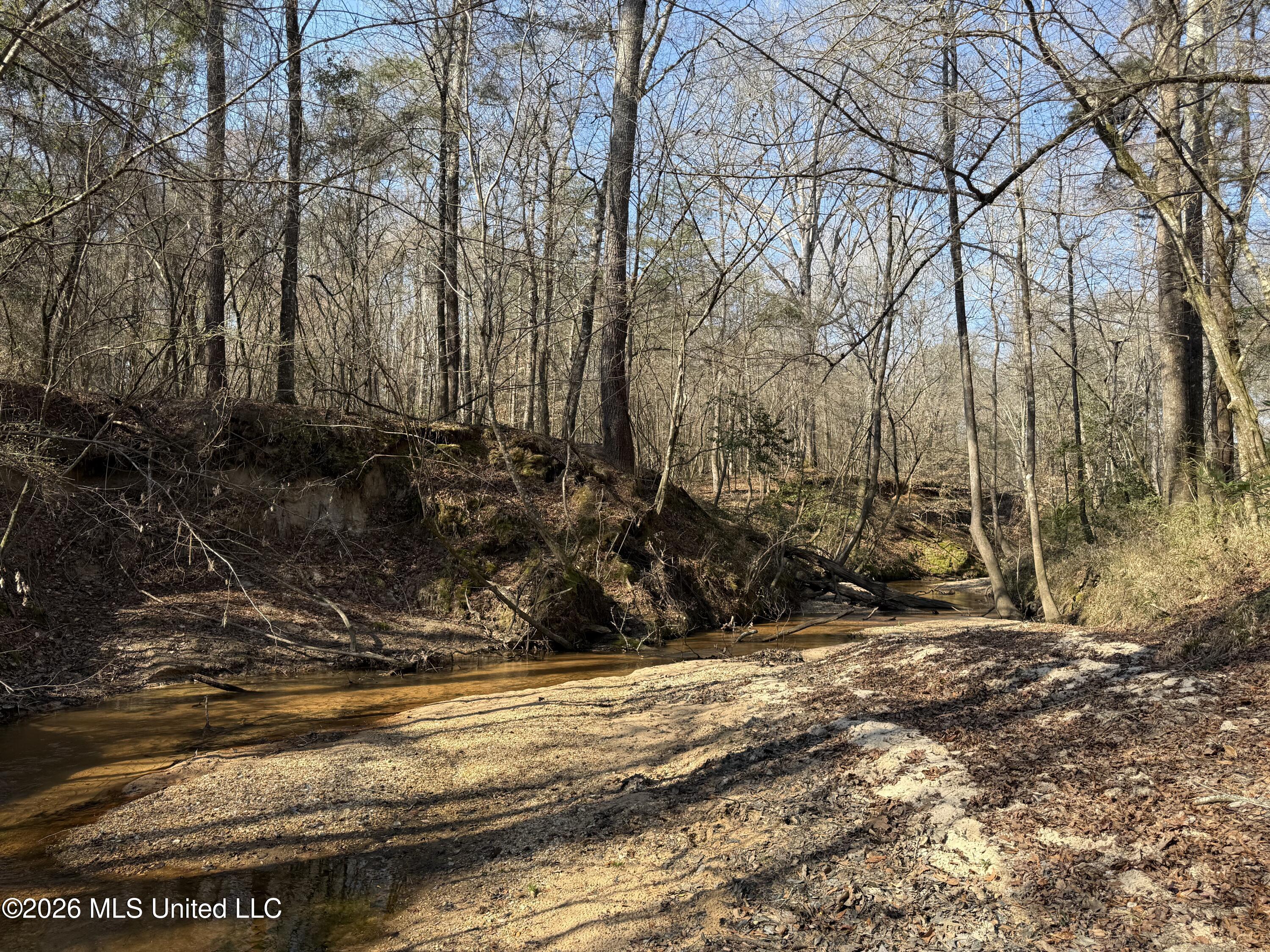 Railroad Lane Pinola, MS 39149 - Photo 26 of 40 IMG_0069