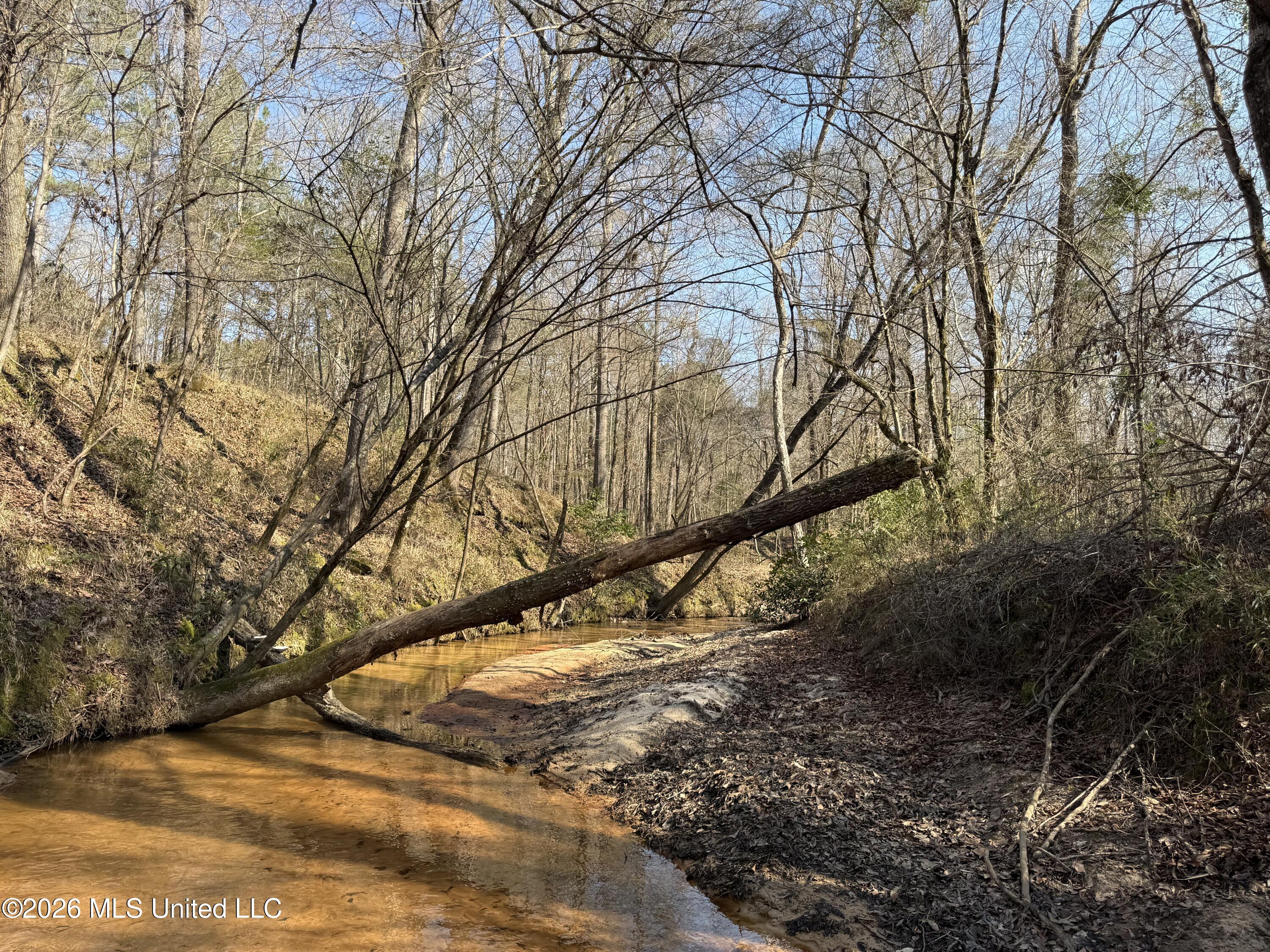 Railroad Lane Pinola, MS 39149 - Photo 27 of 40 IMG_0072
