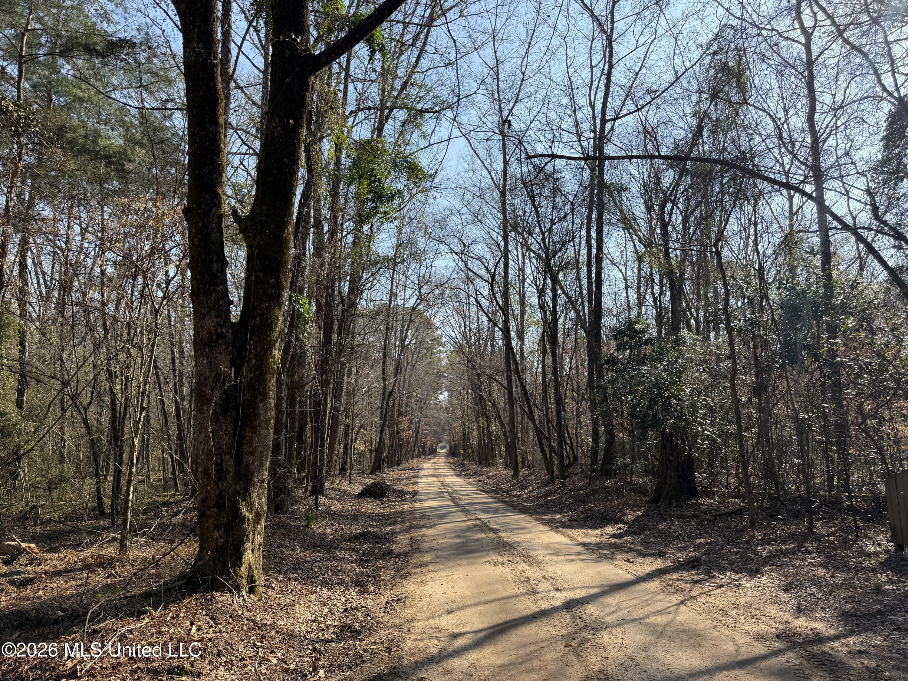 Railroad Lane Pinola, MS 39149 - Photo 29 of 40 IMG_0023