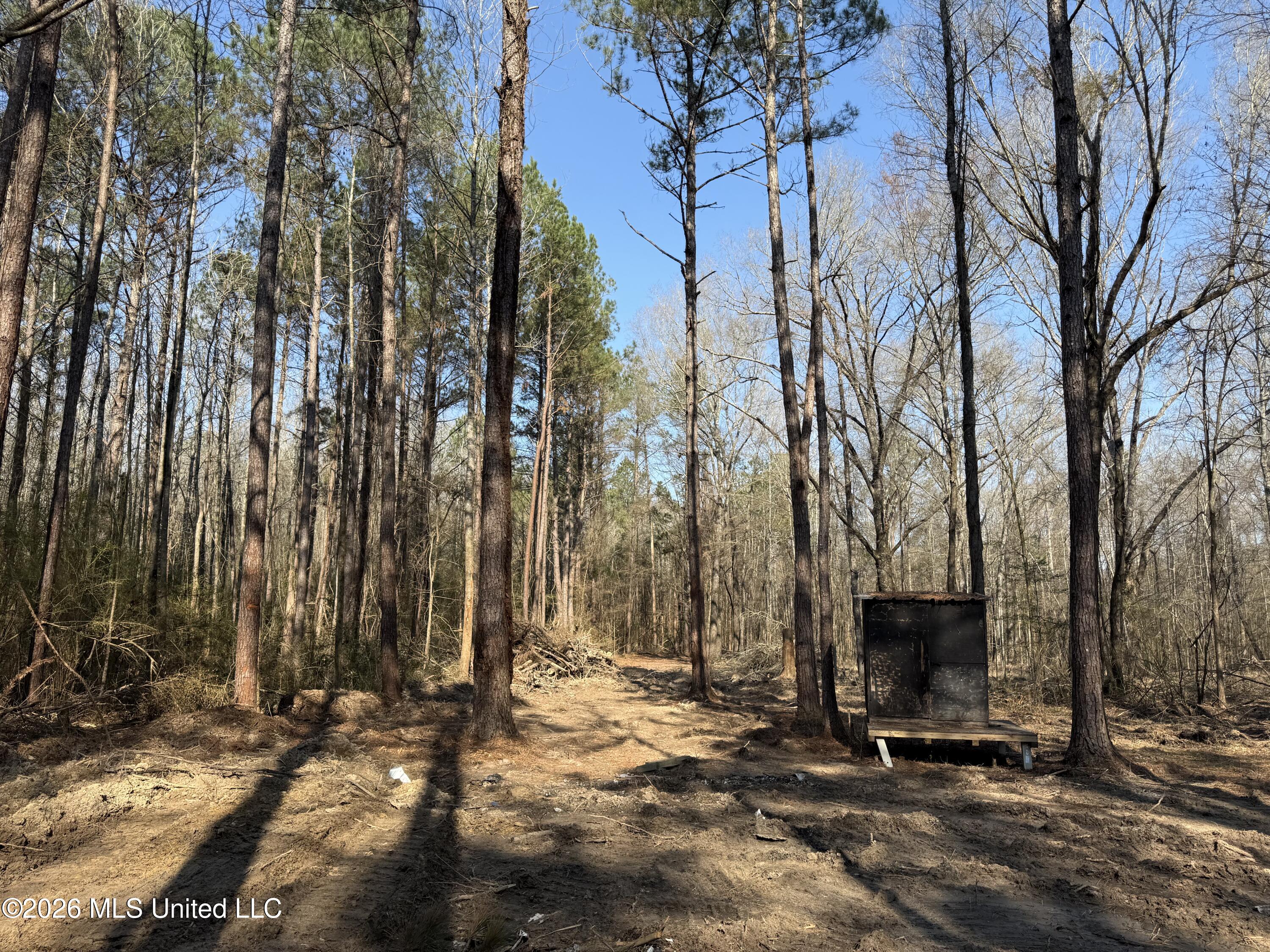 Railroad Lane Pinola, MS 39149 - Photo 32 of 40 IMG_0037