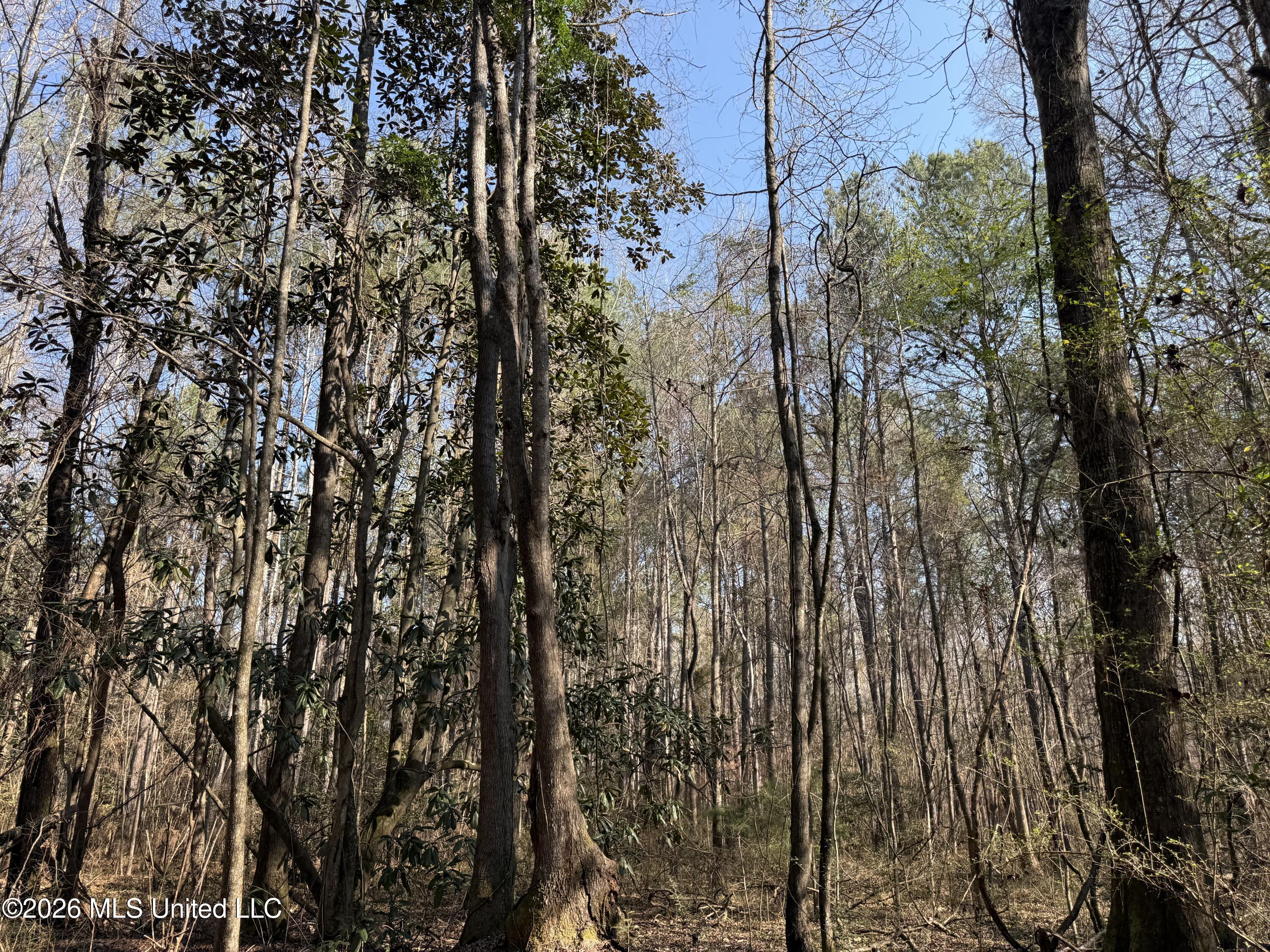 Railroad Lane Pinola, MS 39149 - Photo 34 of 40 IMG_0027