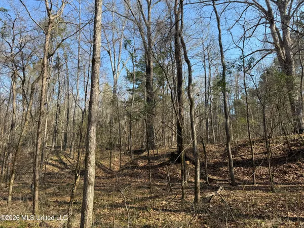 $220,000 | Railroad Lane, Pinola, MS 39149