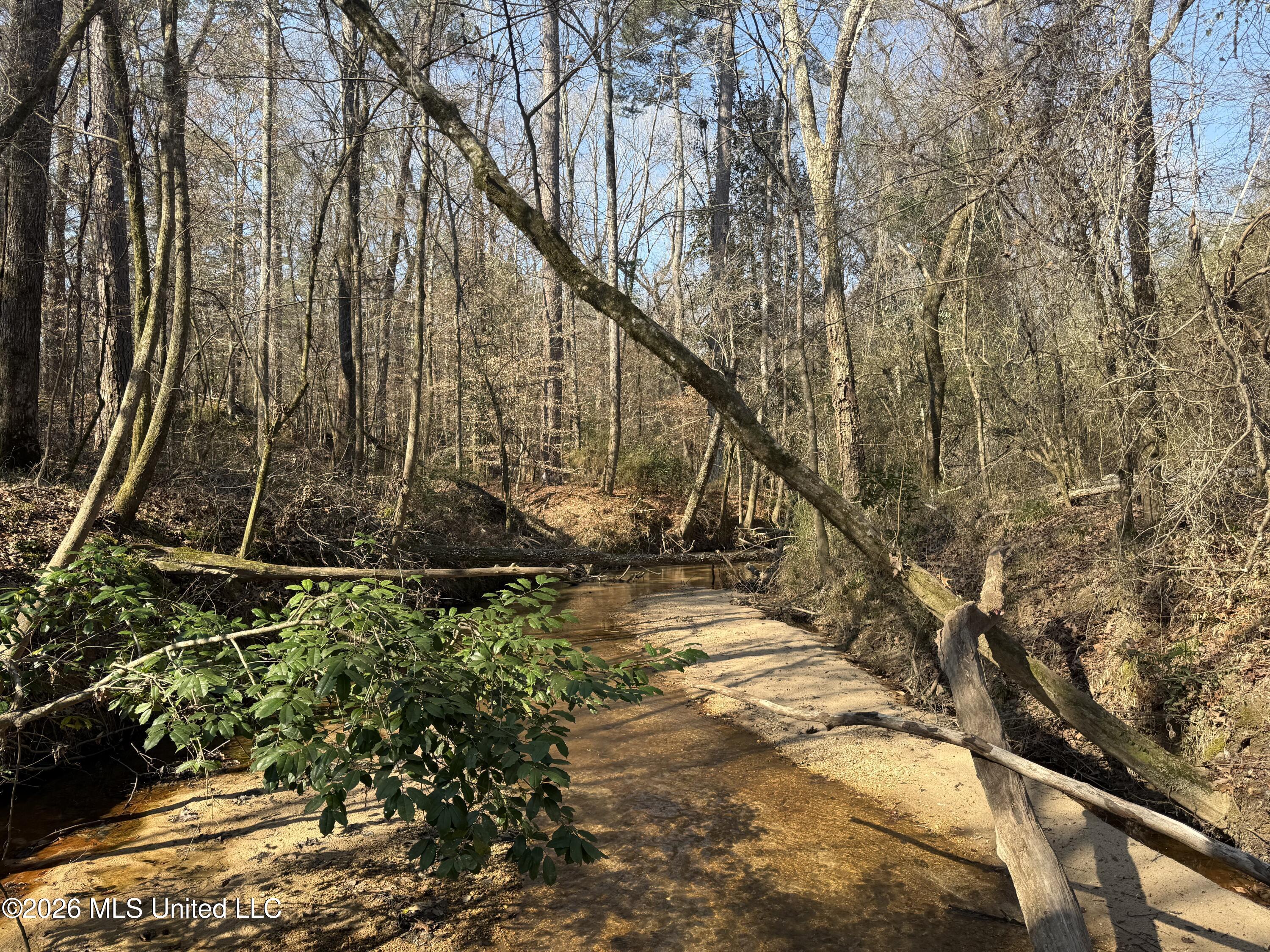 Railroad Lane Pinola, MS 39149 - Photo 4 of 40 IMG_0059