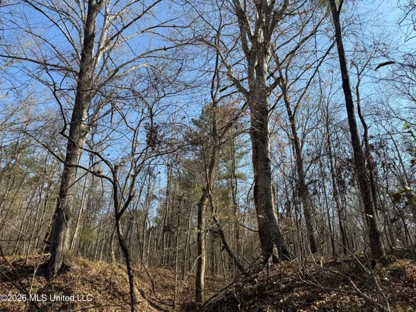 $220,000 | Railroad Lane, Pinola, MS 39149