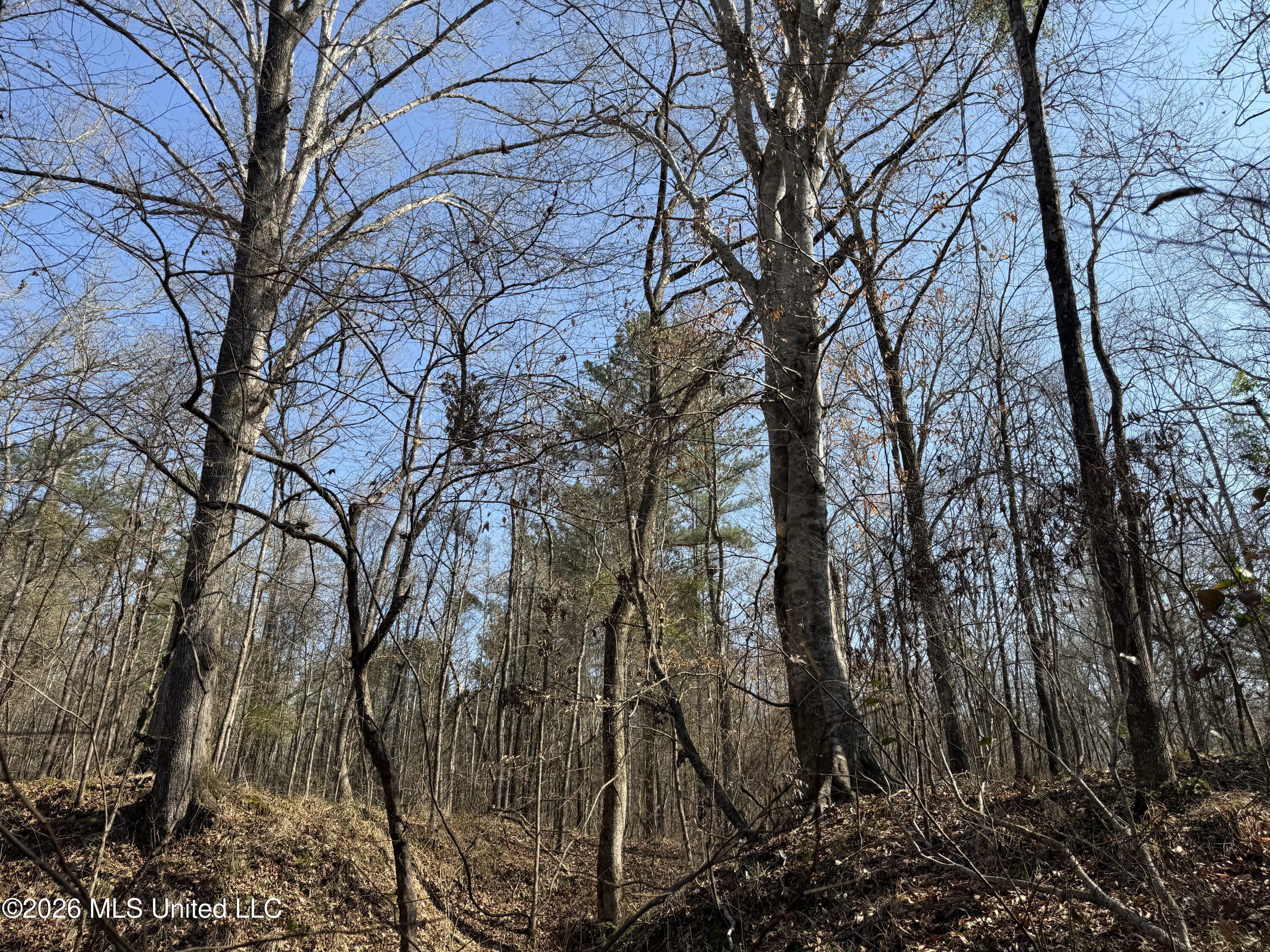 Railroad Lane Pinola, MS 39149 - Photo 6 of 40 IMG_0067